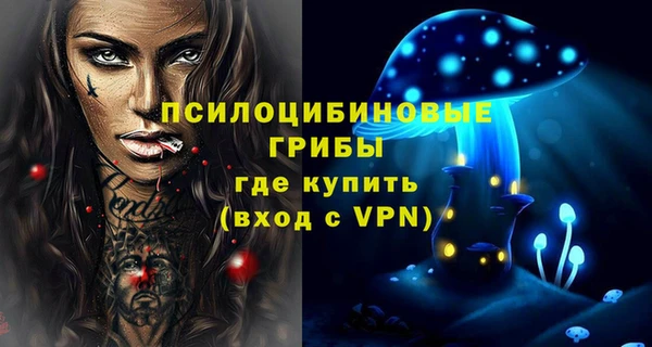 герыч Алексин